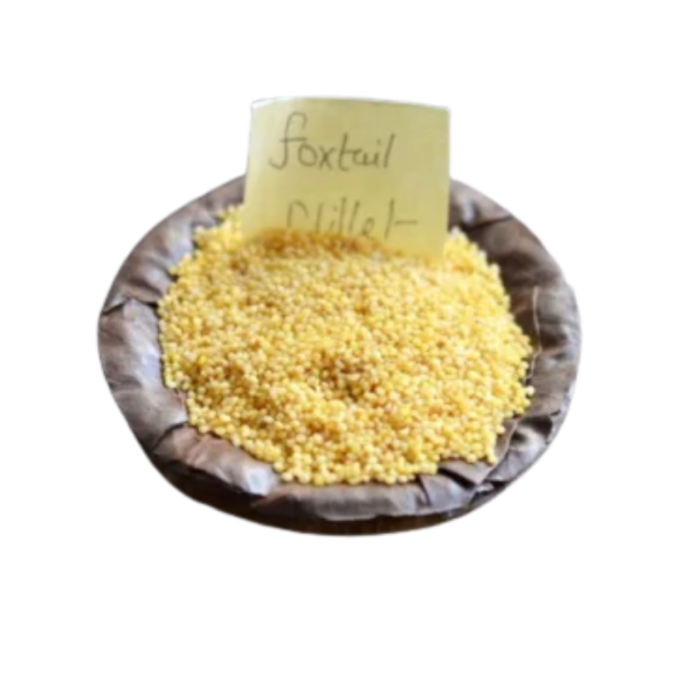 Foxtail Millet 500GM